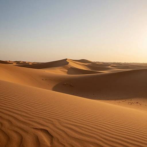 Photograph of a sunlit desert landscape with rippled sand dunes, casting shadows, under a clear blue sky with a bright sun.