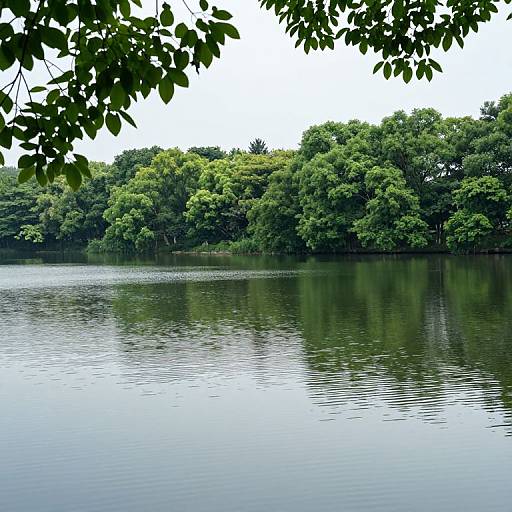 Serene Secluded Lake in Nature