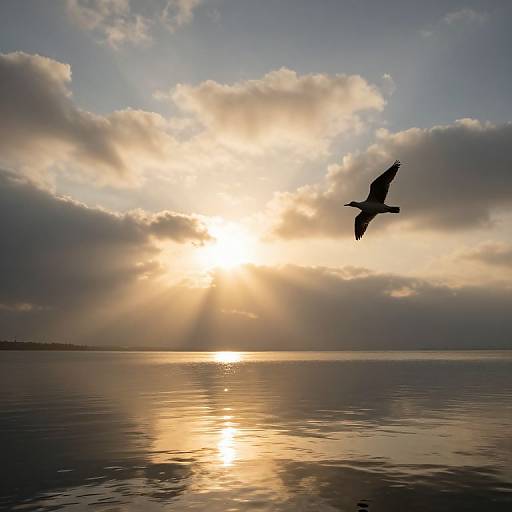 Golden Sunlight Over Tranquil Waters