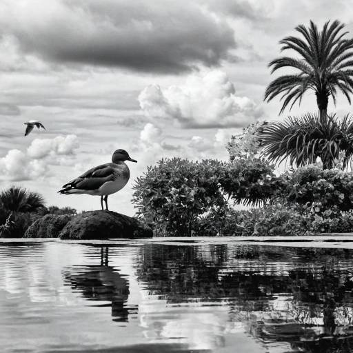 Serene Monochrome Bird Landscape Scene