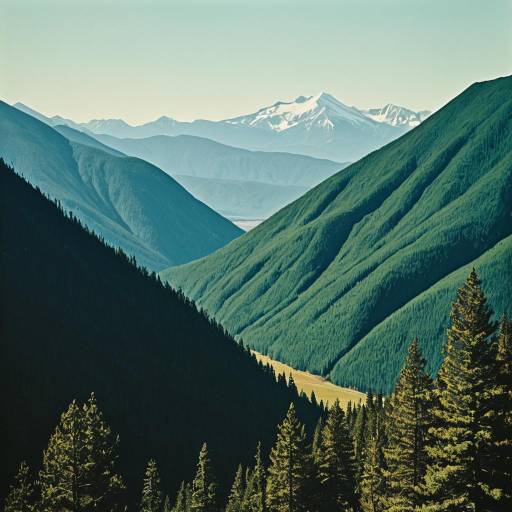 Minimalist Mountain Forest Landscape Minimalist Mountain Forest Landscape