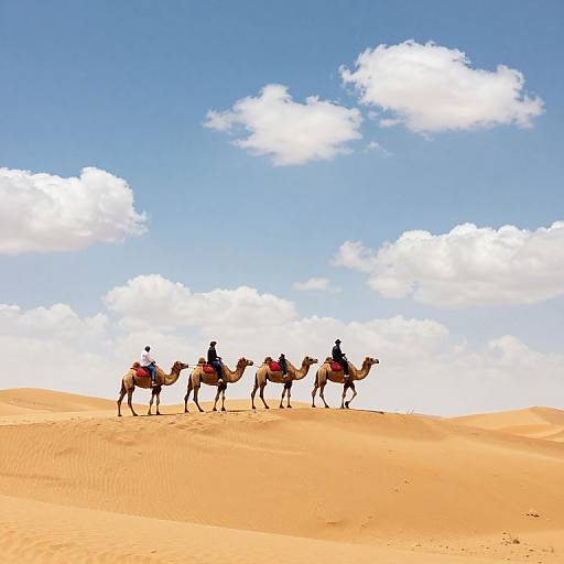Photograph of five riders on camels traversing a golden sand dune under a bright blue sky with scattered white clouds.
