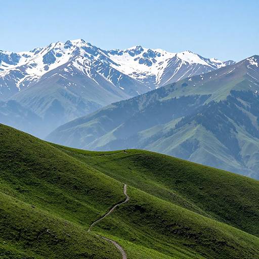 Misty Mountainous Landscape Photography