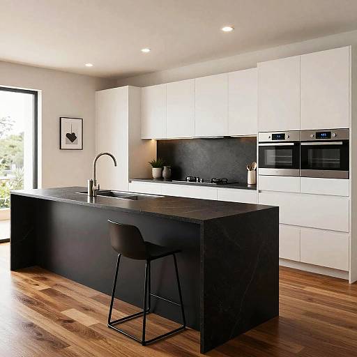 Realistic Contemporary Kitchen Design