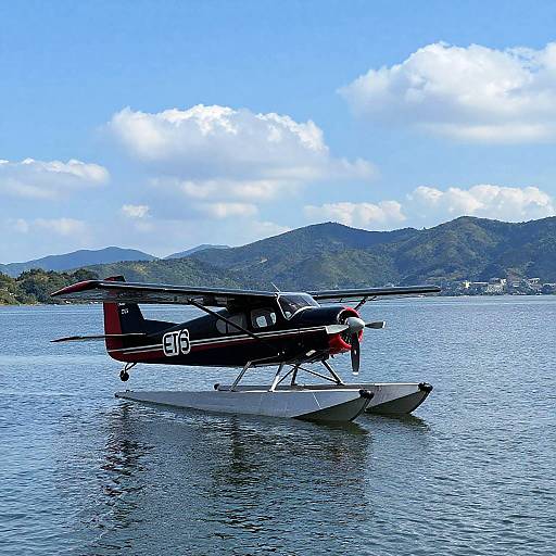 Black and Red Seaplane Over Lake