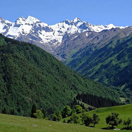 Photograph of a lush green valley with dense forest, leading up to snow-capped, rugged mountain peaks under a clear blue sky.