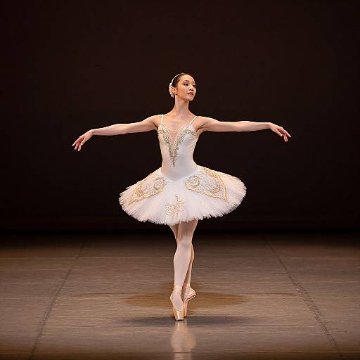 Ballerina Solo in Dimly Lit Theater