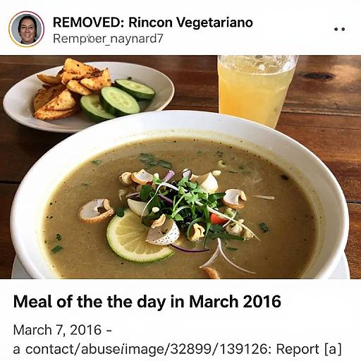 Vegetarian Meal Photo at Rincon Veg