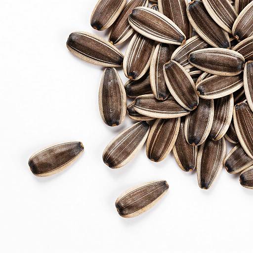 Glossy Dark Brown Sunflower Seeds on White Background