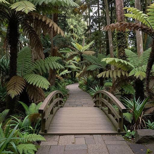 Serene Stone Pathway in Enchanted Forest