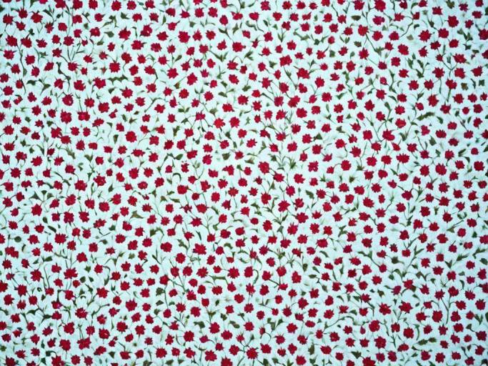Elegant Close-Up Floral Wallpaper Design