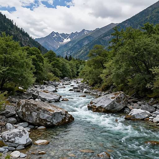 Photograph of a clear, rocky river flowing through a lush, green forest with mountains and snow-capped peaks in the background.
