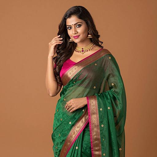 Elegant Indian Woman in Colorful Sari