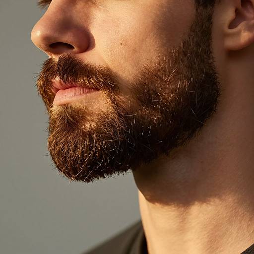 Artistic Close-Up of Styled French Beards