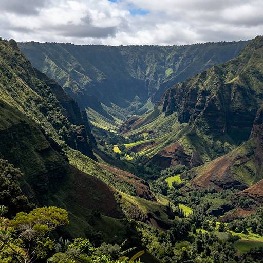Scenic Hanalei Valley Landscape