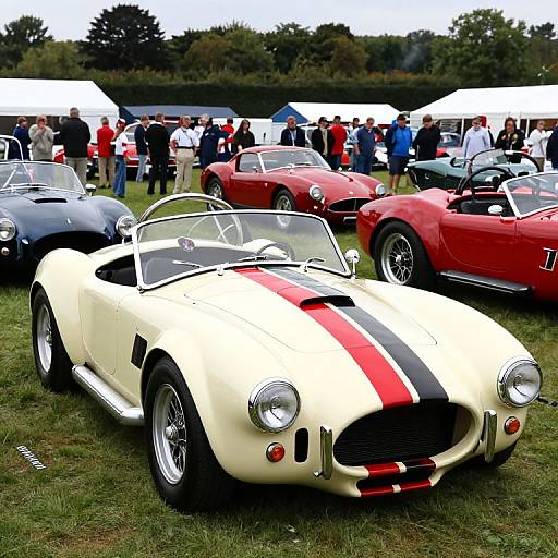 Vintage Sports Cars at Festival