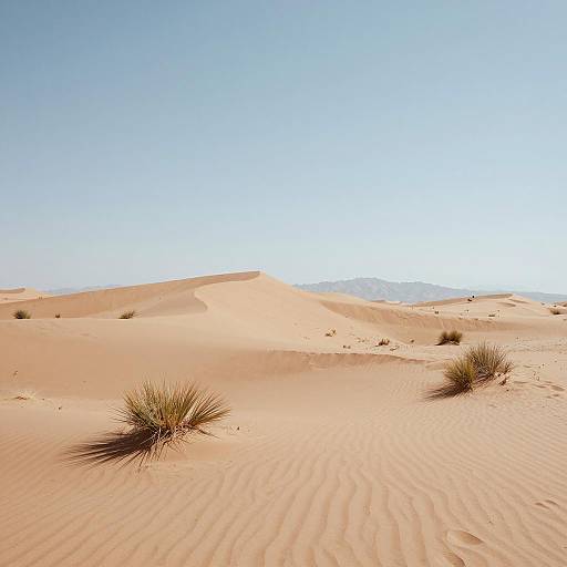 Serene Desert Landscape with Dunes