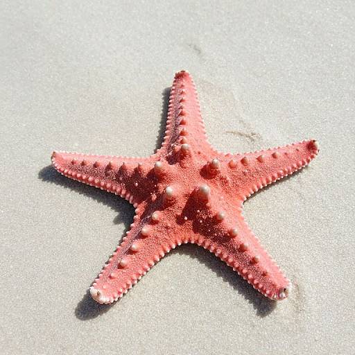 Hyper Realistic Florida Keys Beach
