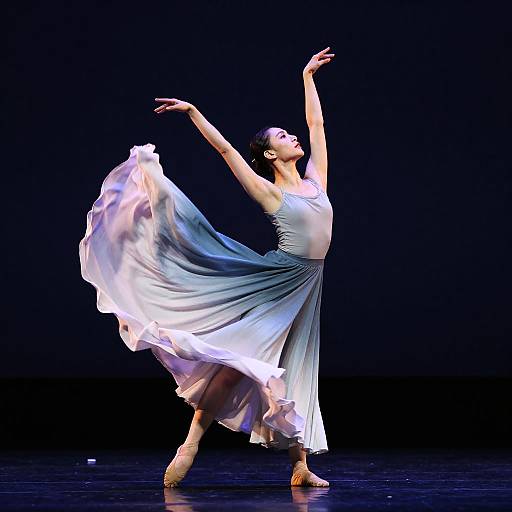 Graceful Dancer in Dynamic Motion