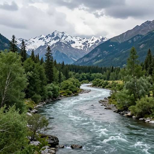 Photograph of a serene mountain landscape featuring a rushing river, surrounded by dense evergreen trees, with snow-capped peaks in the background under a cloudy