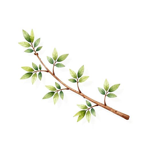 Minimalist Brown Branch with Leaves