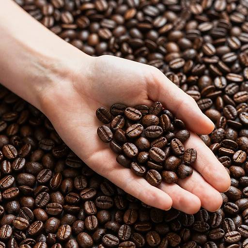 Hand Holding Coffee Beans