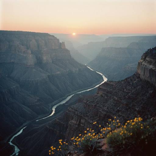 Misty Canyon Sunrise with River Misty Canyon Sunrise with River