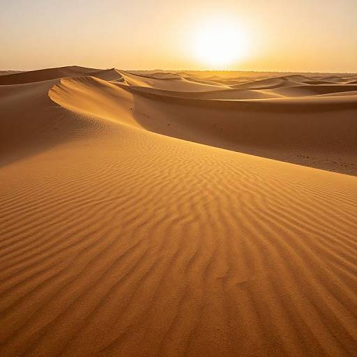 Endless Golden Sand Dunes at Sunset