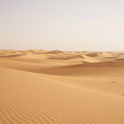Serene Golden Desert Dunes Landscape