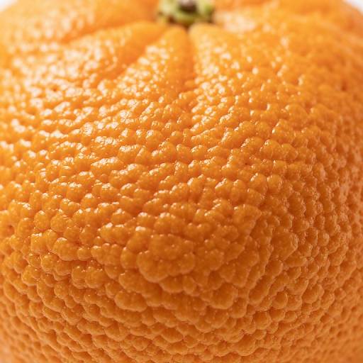 Close-up photograph of a vibrant orange citrus fruit, showcasing its textured, bumpy, and pebbled surface in bright sunlight.