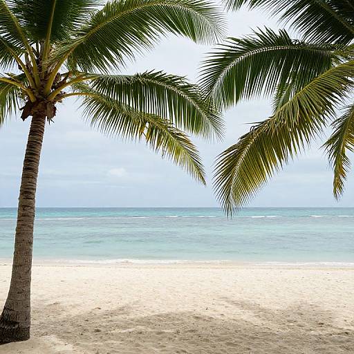 Tropical Oasis of Timeless Tranquility