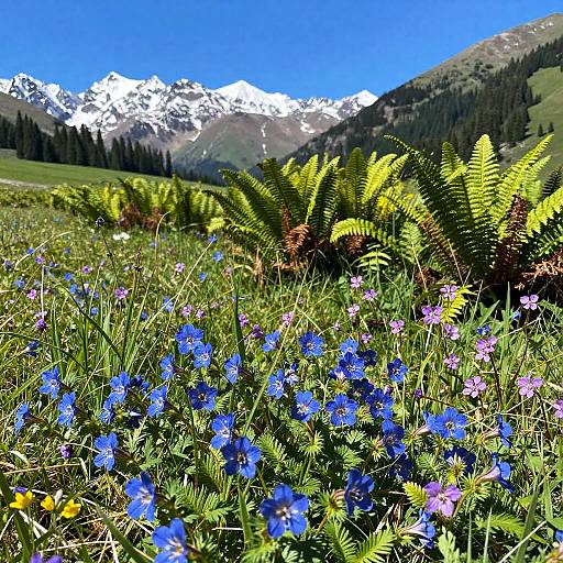 Vibrant Wildflower Meadow with Mountain