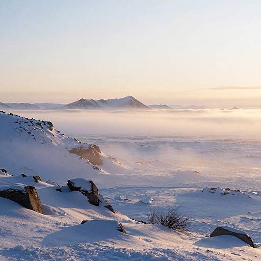 Windswept Arctic Ice Fields Illustration