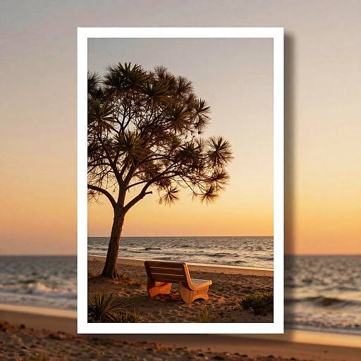 Photograph of a serene beach at sunset, featuring a lone tree, wooden bench, and white chair, framed by a white border.