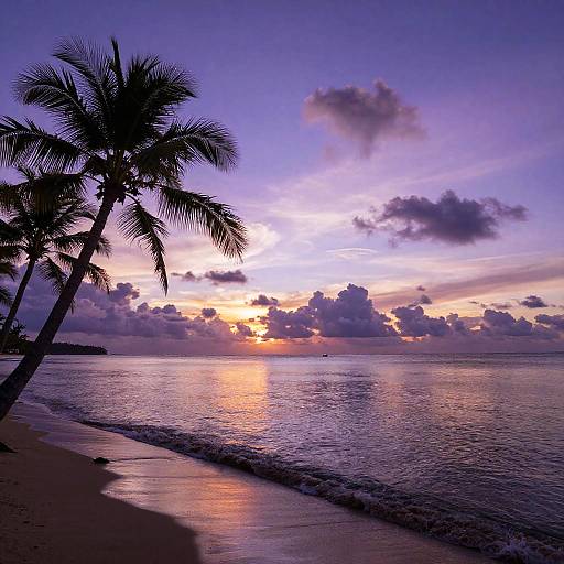 Purple Sunset Over Tranquil Beach