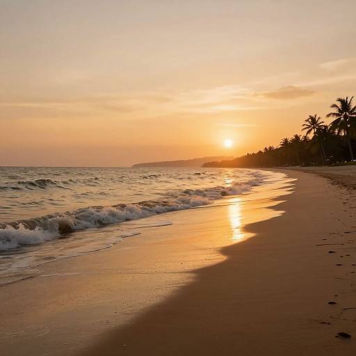 Photograph of a serene beach at sunset with golden-orange sky, gentle waves, reflective wet sand, and silhouetted palm trees on the right