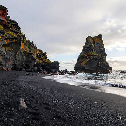 Vibrant Black Sand Beach Landscape