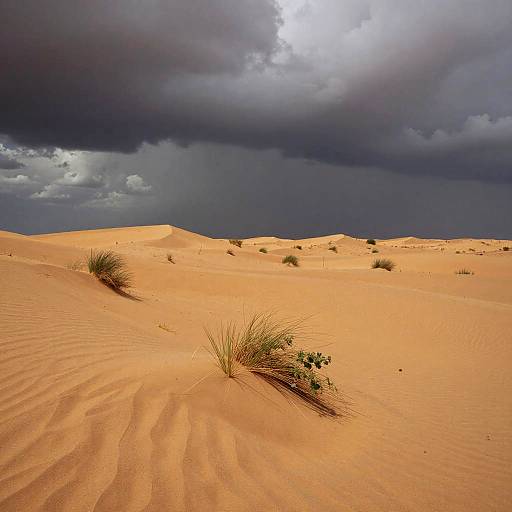 Photograph of a desert landscape with golden sand dunes, sparse grass tufts, and dramatic dark storm clouds overhead.