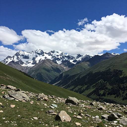 Photograph of a rugged mountain landscape with snow-capped peaks, bright blue sky, scattered white clouds, and a rocky, grassy foreground.