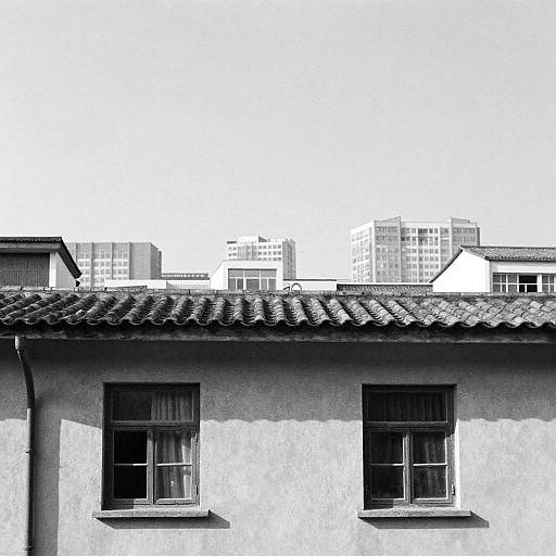 Monochrome Cityscape with Houses