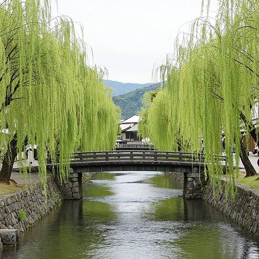 Willow-Lined River and Stone Bridge