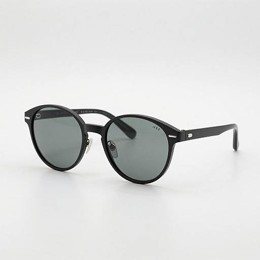 Futuristic Otter-Inspired Sunglasses Design