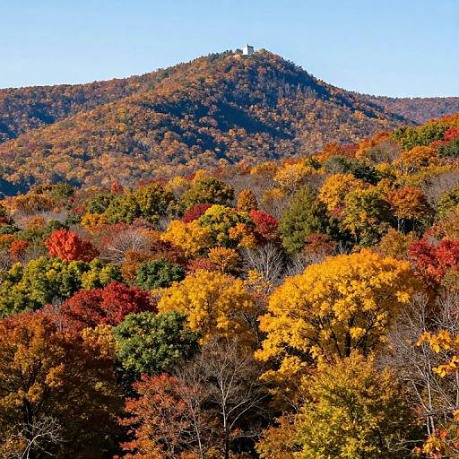 West Virginia Fall Foliage Spots