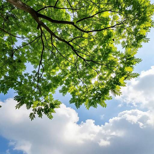 Luminous Tree in Radiant Sky