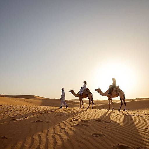 Floating Books and Desert Journey