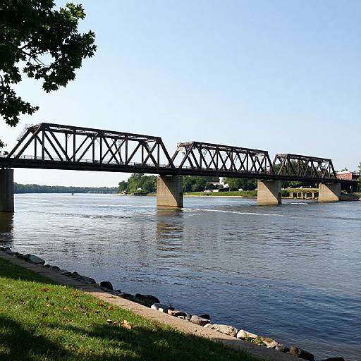 Photograph of a black iron truss bridge spanning a calm river, with a grassy bank and leafy tree in the foreground. Clear blue sky