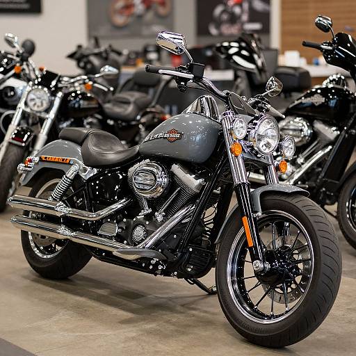 Photograph of a glossy black Harley-Davidson motorcycle with chrome accents, positioned in a showroom among several other motorcycles.