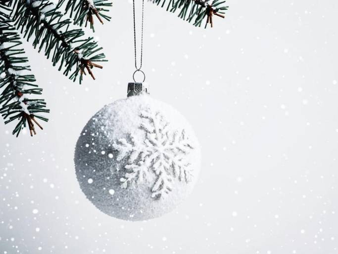 Christmas Tree Branch with Snowy Ornaments