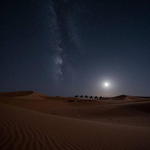 Sahara Night Caravan Under Starry Sky