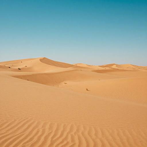 Photograph of a vast, sunlit desert with rippled sand dunes under a clear, bright blue sky. Warm golden-orange sand contrasts with the